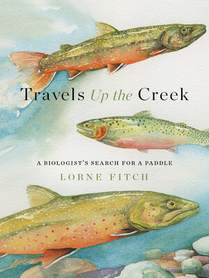 cover image of Travels Up the Creek